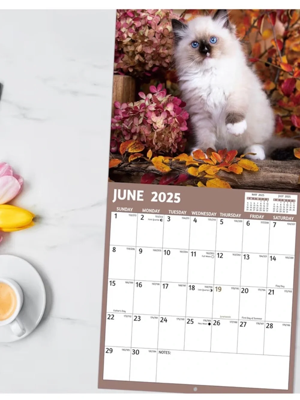 NWT Cats Calendar 2026 - Cute Brown Tabby Kitten